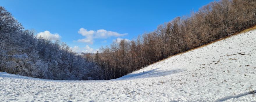 Schitul Cioclovina de jos