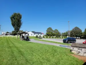 Aaron and Jessica’s Buggy Rides