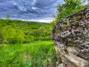 Zacharovana Dolyna