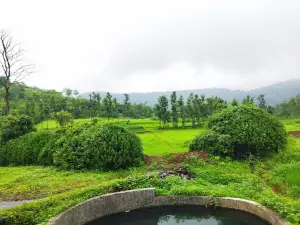 Vangan Hills