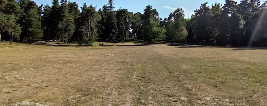 Camp Romain