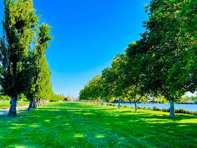 Bartholomew Park