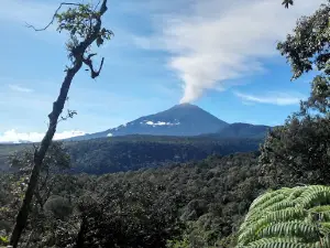 Ruang Terbuka Hijau (RTH)