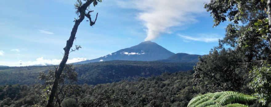 Ruang Terbuka Hijau (RTH)