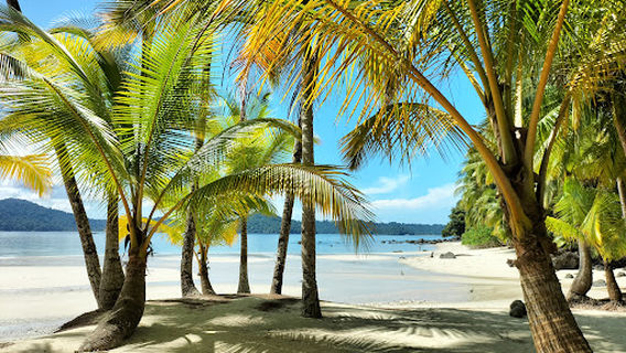 EXPEDITION COIBA PANAMA