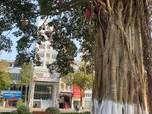 Lac Hong park.