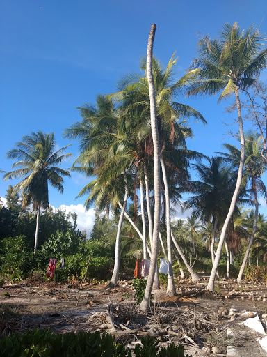 Voli Pechino Canton Island