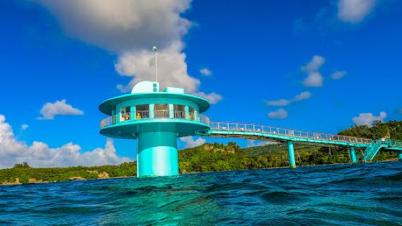 Fish Eye Underwater Observatory