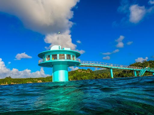 Fish Eye Underwater Observatory