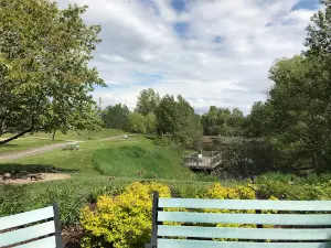 Alexis the Trotter Riverside course