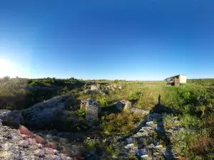 Colonia Ulpia Traiana Ratiaria | Римски град "Рациария"