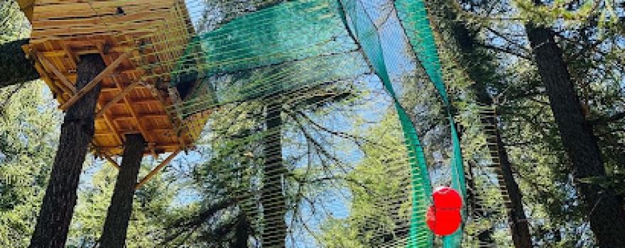 Games in Forest | Parc attraction Montgenevre