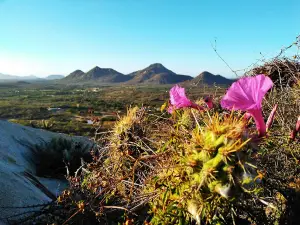 Monte Tabor