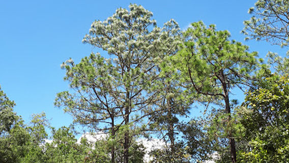 Centro Deportivo Recreativo
