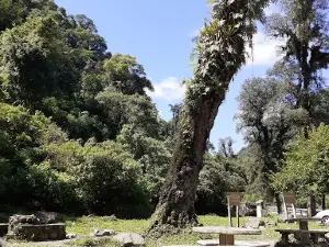Mirador del río