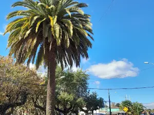 Plaza Pedro Montt, Plaza de Armas, Pitrufquén