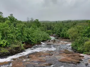Sajan Dam