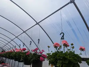 Earl's Nursery