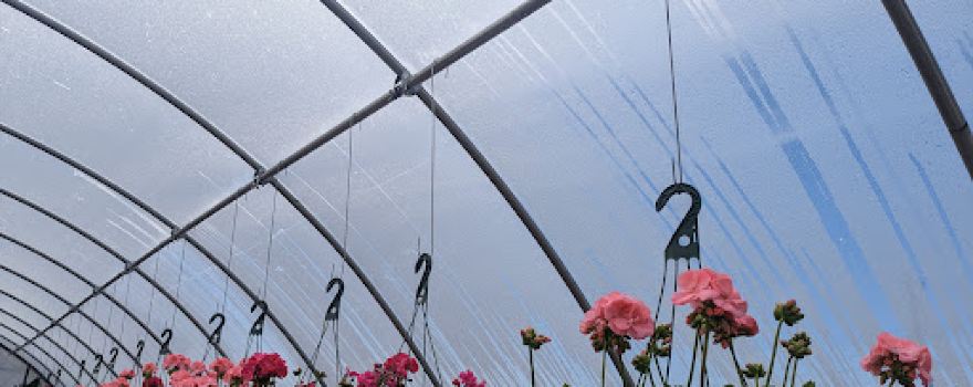 Earl's Nursery