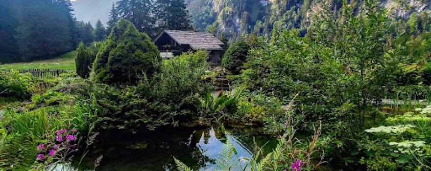 La Thomasia, Jardin de Pont de Nant