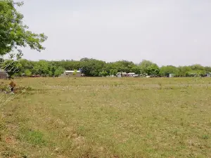 Vadakku Moorthi Palayam