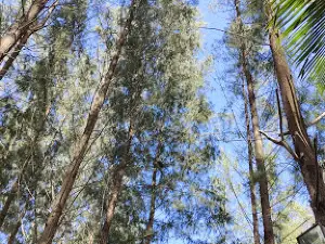 Pantai Pulau Karam