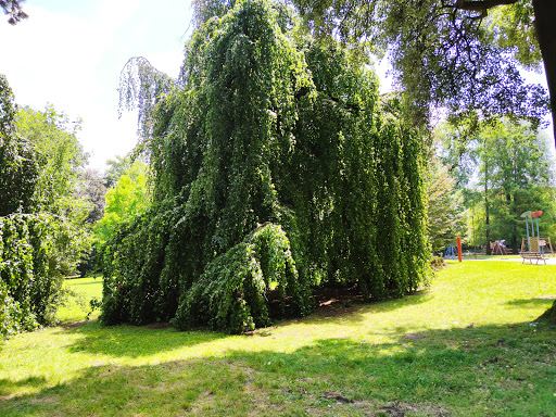 Parco Suardi