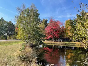 Crane Berry Campground, LLC