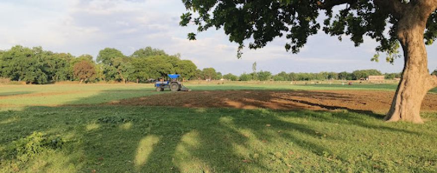 Volleyball ground