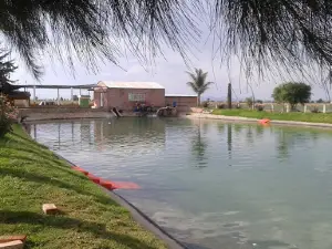 Alberca "Vicente"