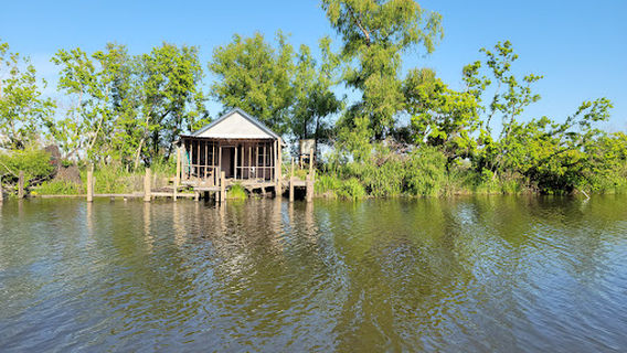 Ultimate Swamp Adventures