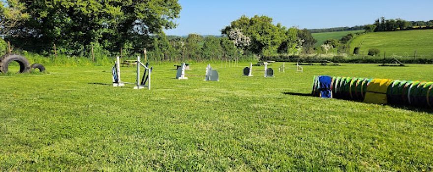 FIELDTASTIC private dog exercise field