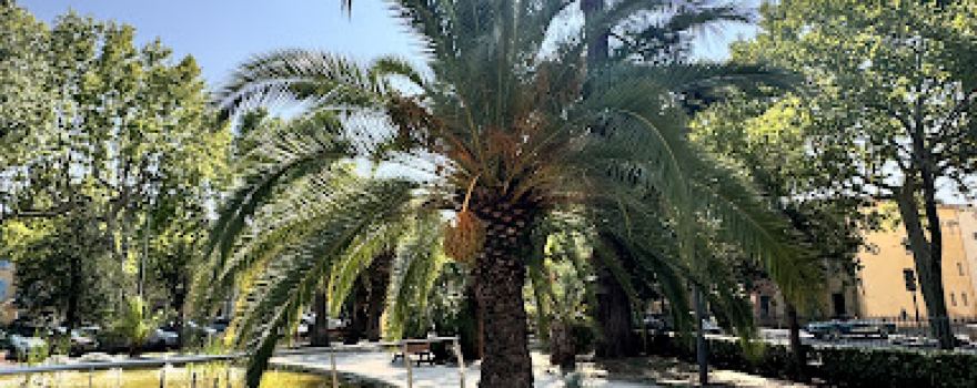 Jardin d'Anglès