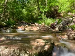 Mothar Mountain Rock Pools