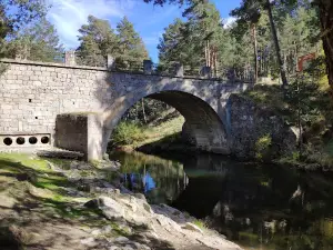 El Camping de Gredos