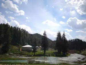 Savrun Stream