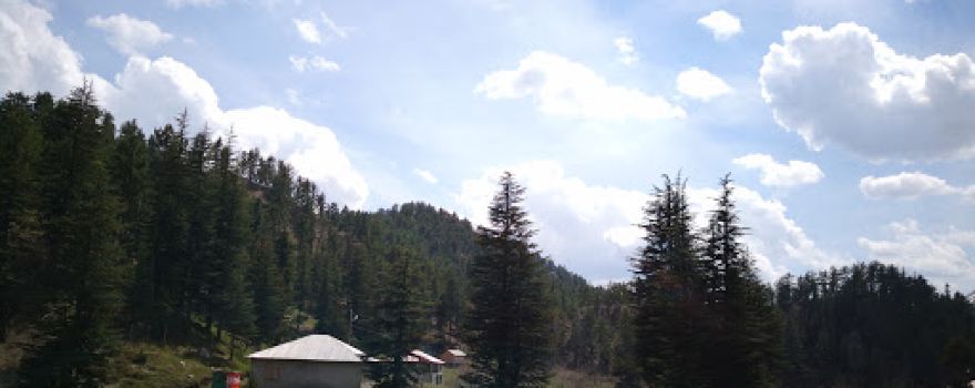 Savrun Stream