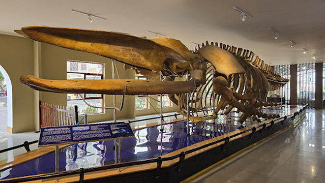 Viện Hải Dương Học