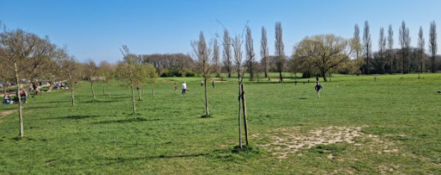 Belfairs Park Woodland Play Area