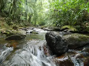Ranchitos del Quetzal