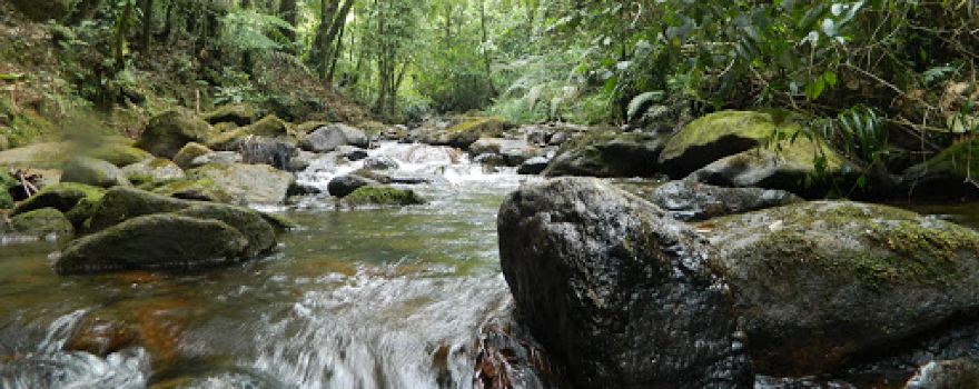 Ranchitos del Quetzal
