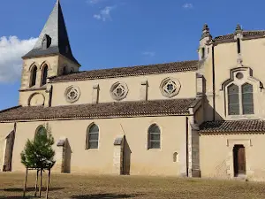 T en Leyre - Accrobranche entre Bordeaux et Arcachon