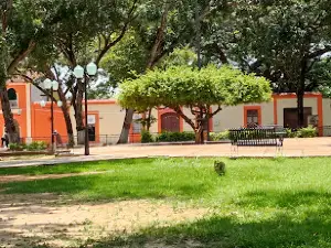 Plaza Bolívar Del Pao