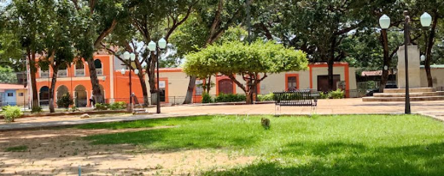 Plaza Bolívar Del Pao