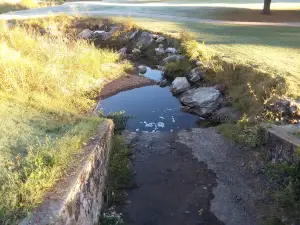 Carthage Municipal Park