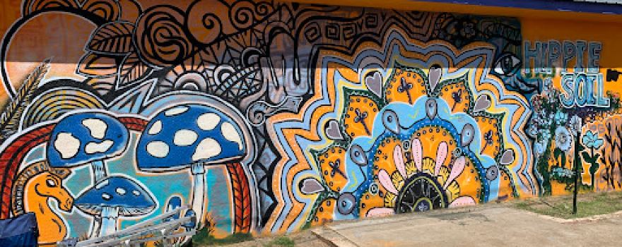 Hippie Soil