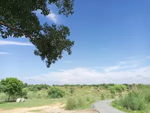 Bokaria fall