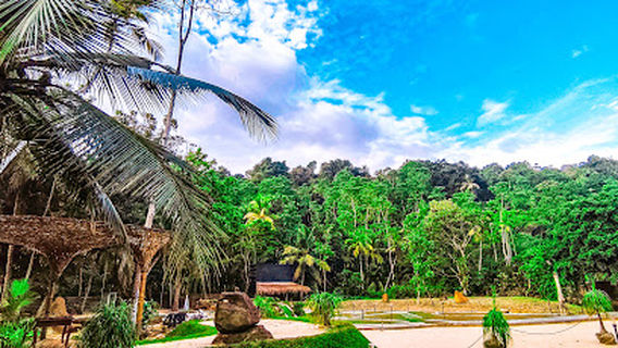 SWING CEYLON