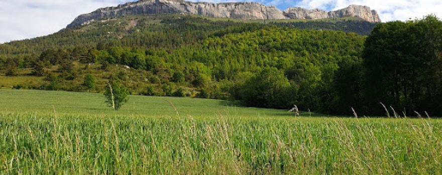 CAMPING Guérins