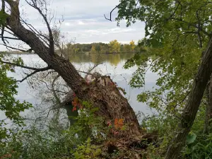 Cedar Hanson Park